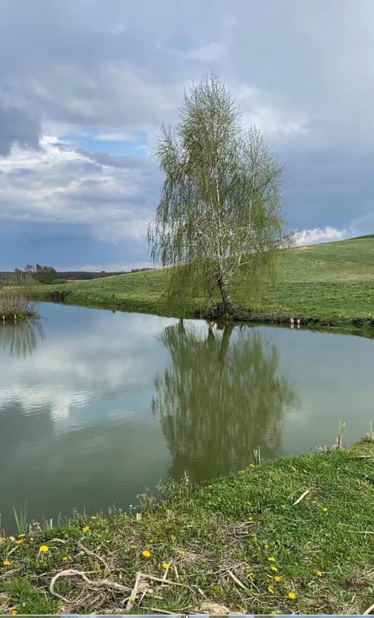 Agroturystyka Nad Jeziorem Silickim Ilinscy Silice エクステリア 写真