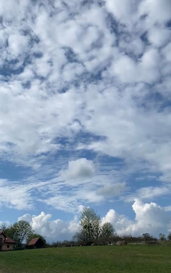 Agroturystyka Nad Jeziorem Silickim Ilinscy Silice エクステリア 写真