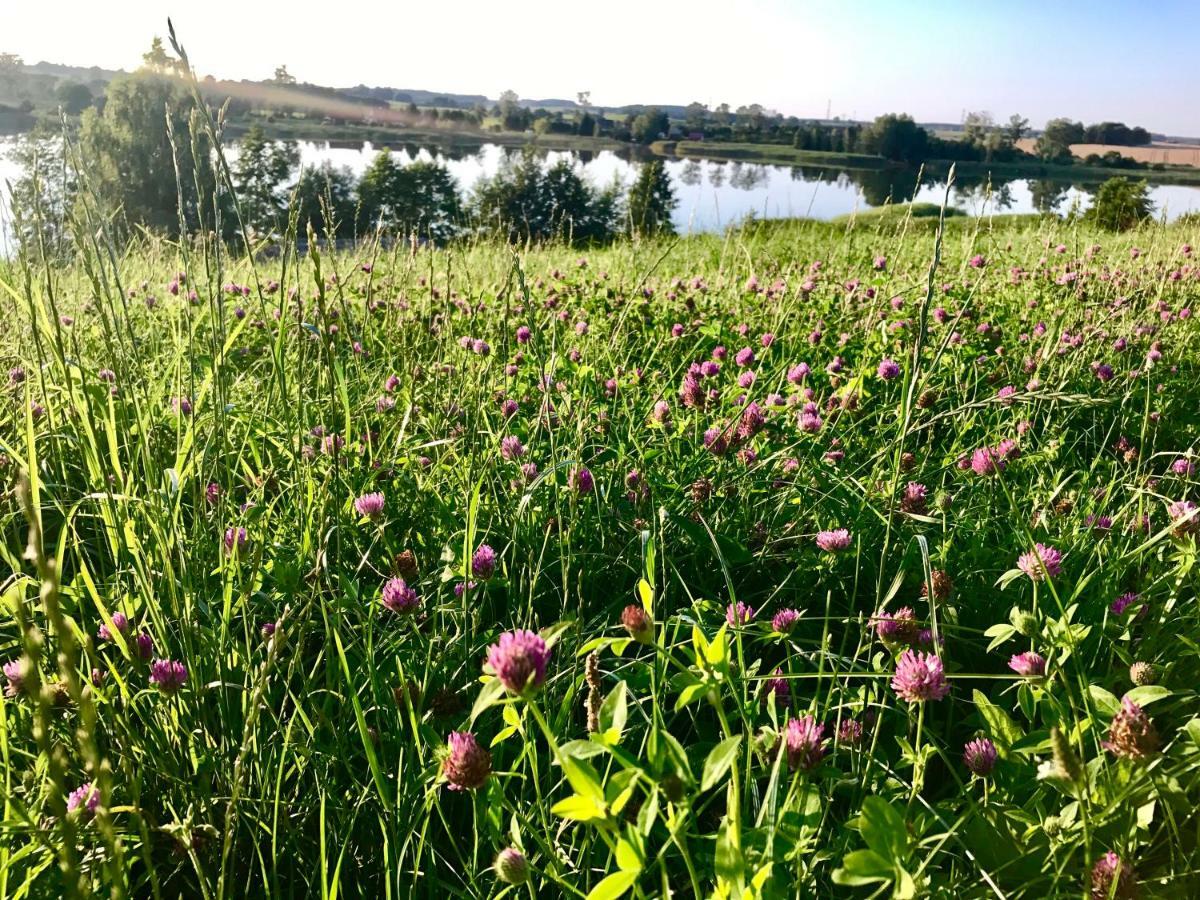 Agroturystyka Nad Jeziorem Silickim Ilinscy Silice エクステリア 写真