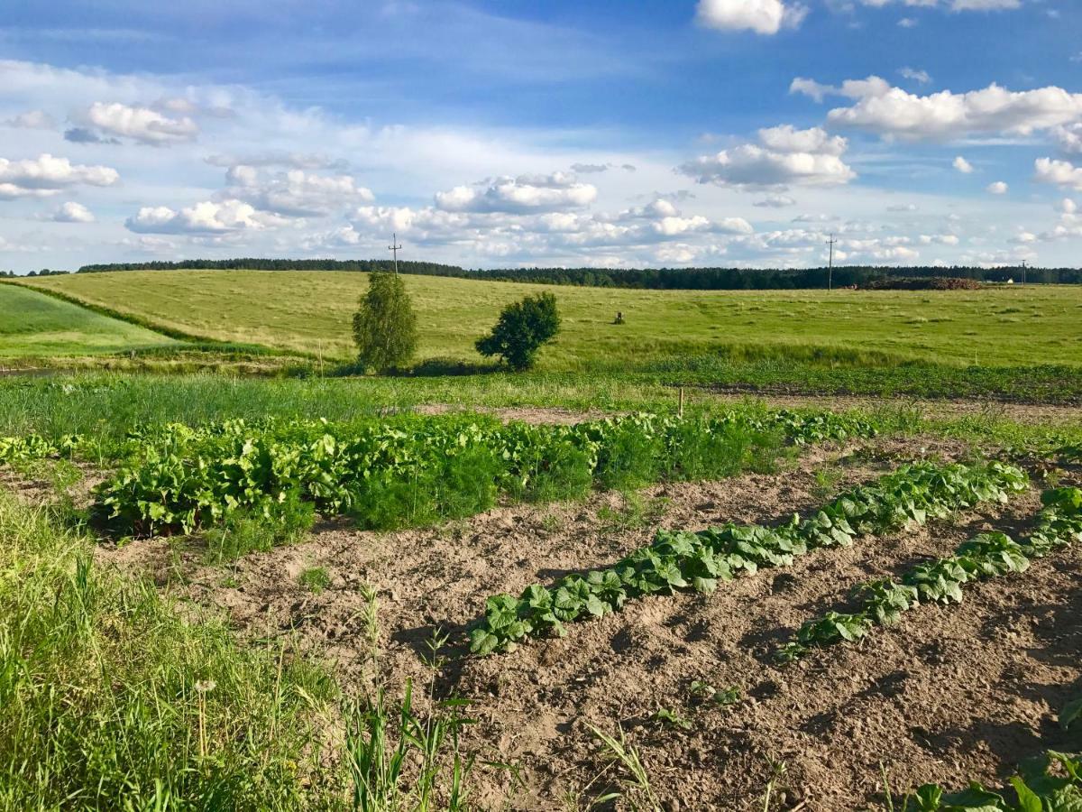 Agroturystyka Nad Jeziorem Silickim Ilinscy Silice エクステリア 写真